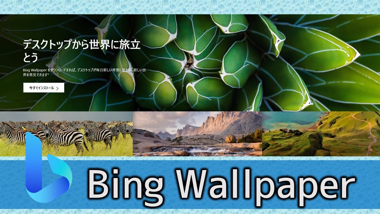 Bing Wallpaperの楽しみ方 活用術 美しい画像を日替わりで あそびdeまなぶ